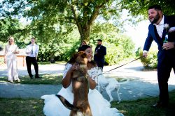 Bride with her dog