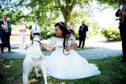 Bride with her dog