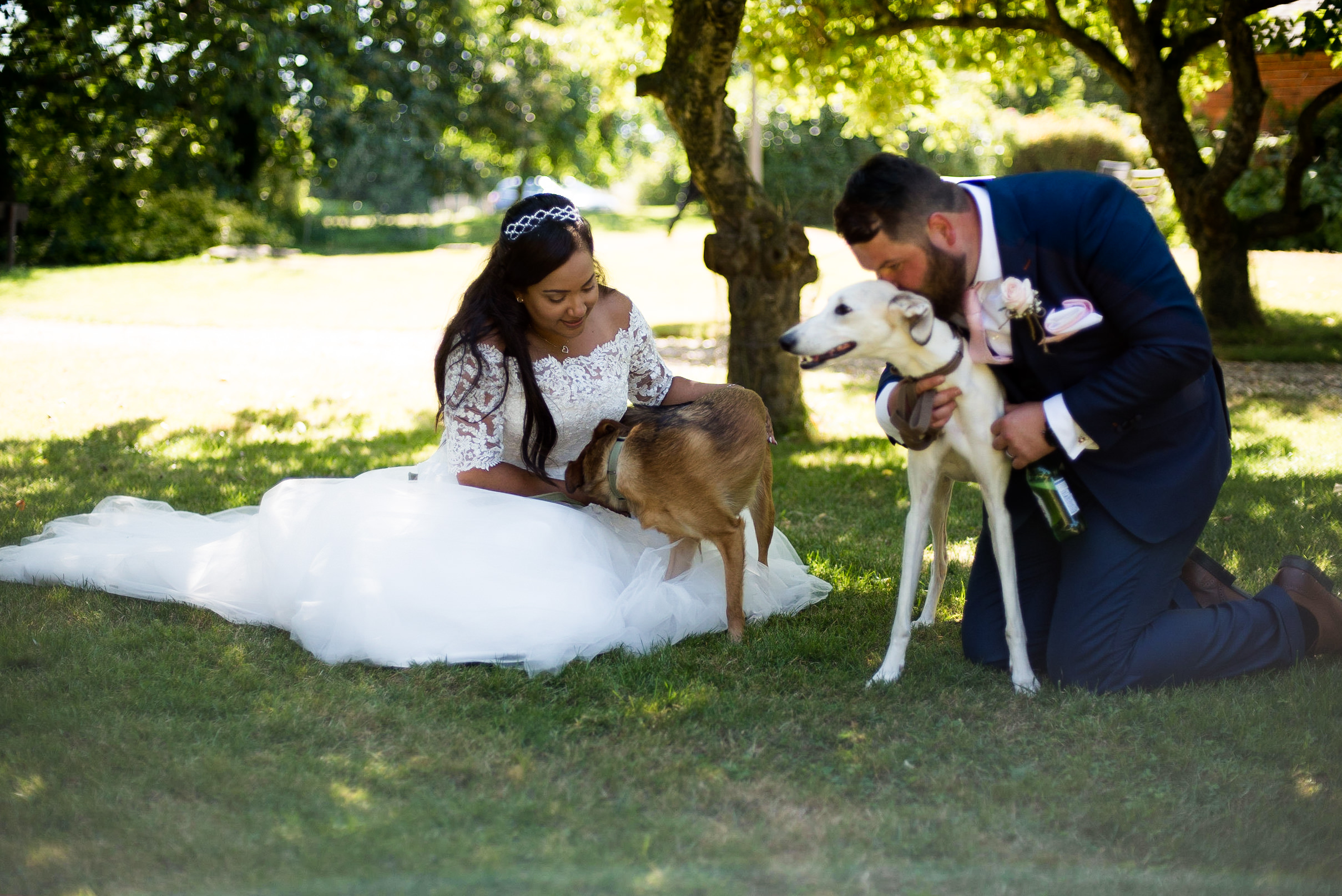 Bride and Groom with their dogs