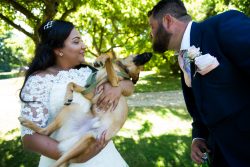 Bride with her dog