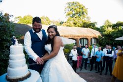 Cake cutting